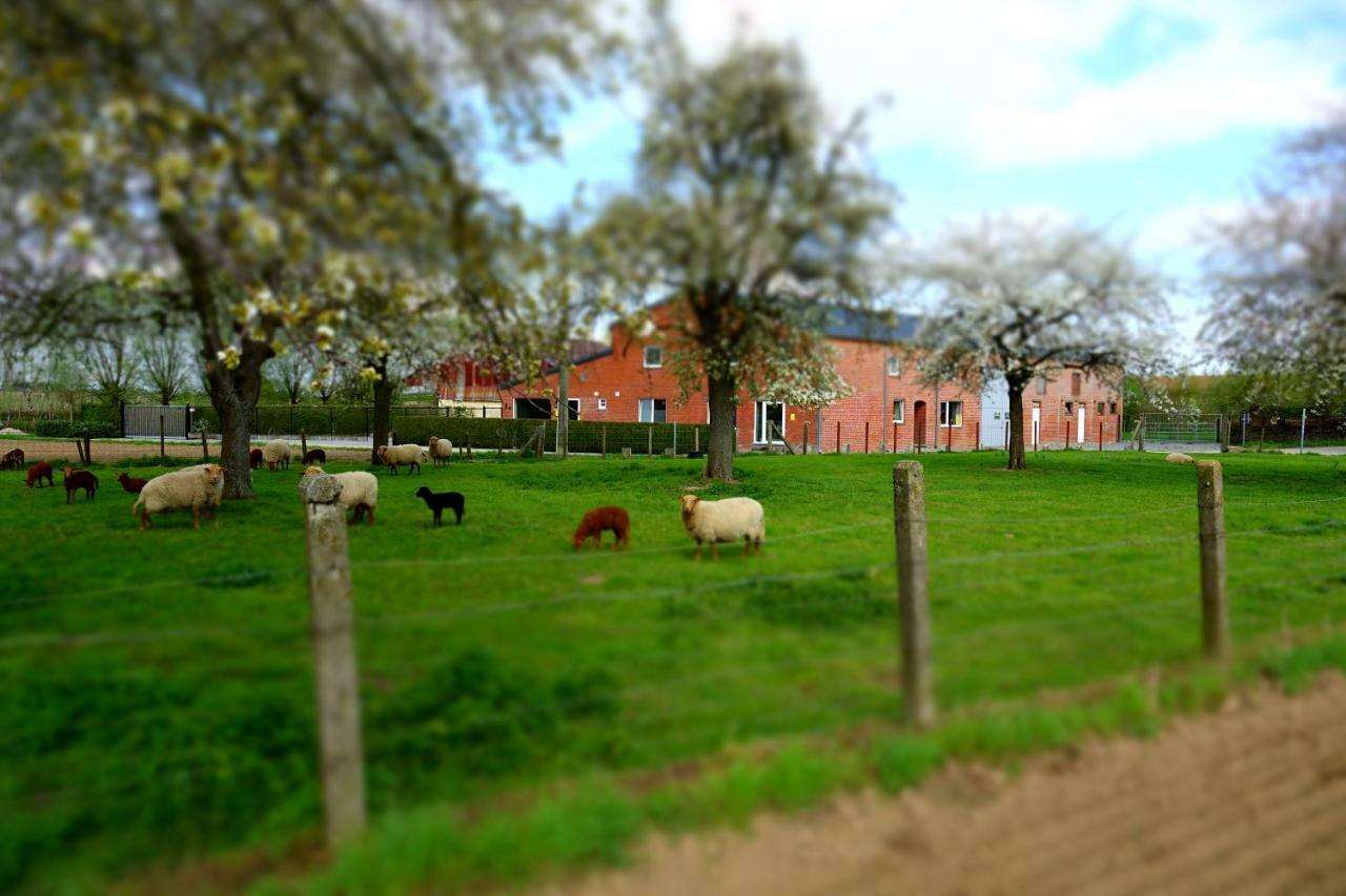 De Smishoeve Met Kinderpret, Dieren En Wellness Heers Zewnętrze zdjęcie